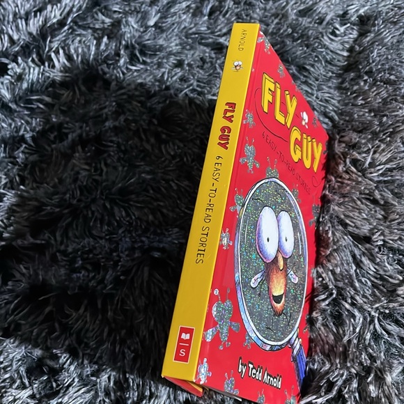 Hardcover Book: Fly Guy 6 easy-to-read stories - Picture 3 of 5